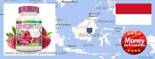 Где купить Raspberry Ketone онлайн Indonesia