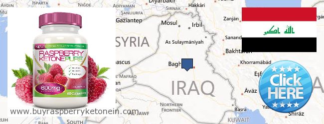 Где купить Raspberry Ketone онлайн Iraq