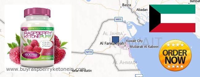 Где купить Raspberry Ketone онлайн Kuwait