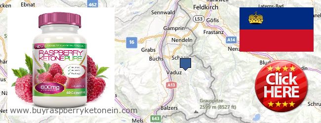 Где купить Raspberry Ketone онлайн Liechtenstein