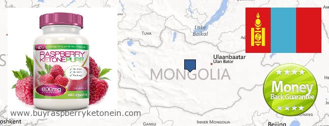 Где купить Raspberry Ketone онлайн Mongolia