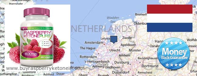 Где купить Raspberry Ketone онлайн Netherlands
