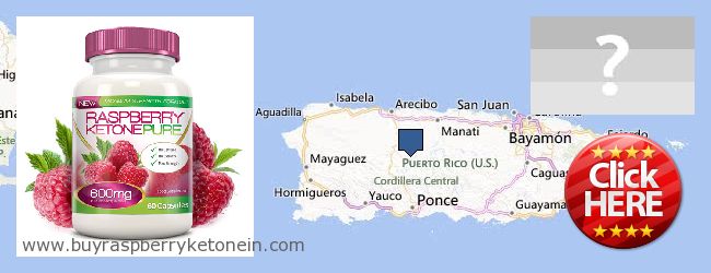 Где купить Raspberry Ketone онлайн Puerto Rico