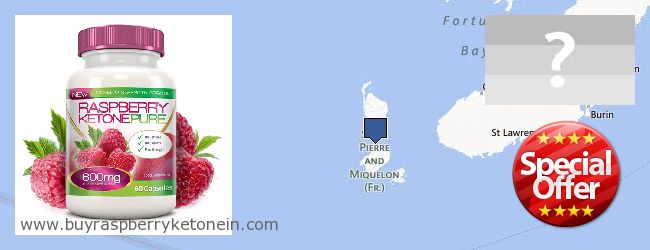 Где купить Raspberry Ketone онлайн Saint Pierre And Miquelon