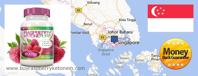 Где купить Raspberry Ketone онлайн Singapore