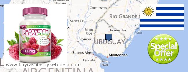Где купить Raspberry Ketone онлайн Uruguay