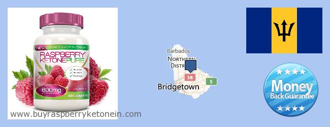 Де купити Raspberry Ketone онлайн Barbados