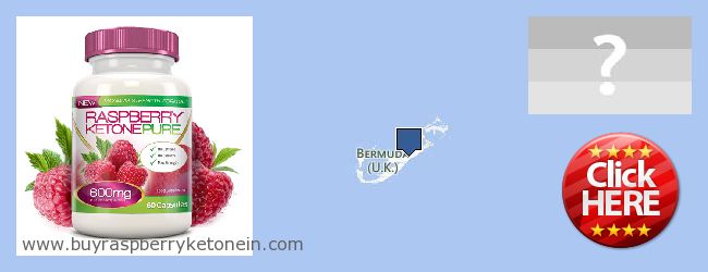 Де купити Raspberry Ketone онлайн Bermuda