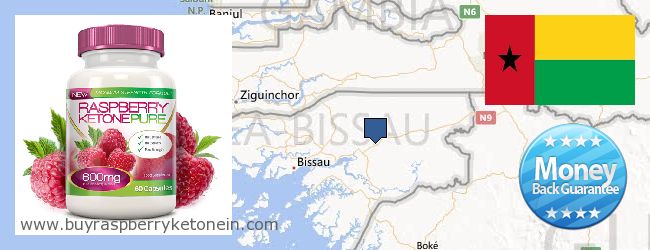 Де купити Raspberry Ketone онлайн Guinea Bissau