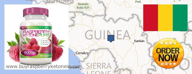 Де купити Raspberry Ketone онлайн Guinea