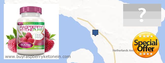 купити Raspberry Ketone онлайн Netherlands Antilles Де купити Raspberry Ketone онлайн Netherlands Antilles