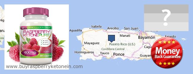 купити Raspberry Ketone онлайн Puerto Rico Де купити Raspberry Ketone онлайн Puerto Rico
