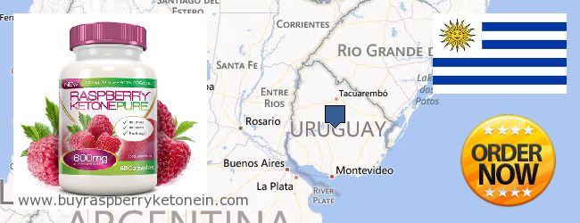 Де купити Raspberry Ketone онлайн Uruguay